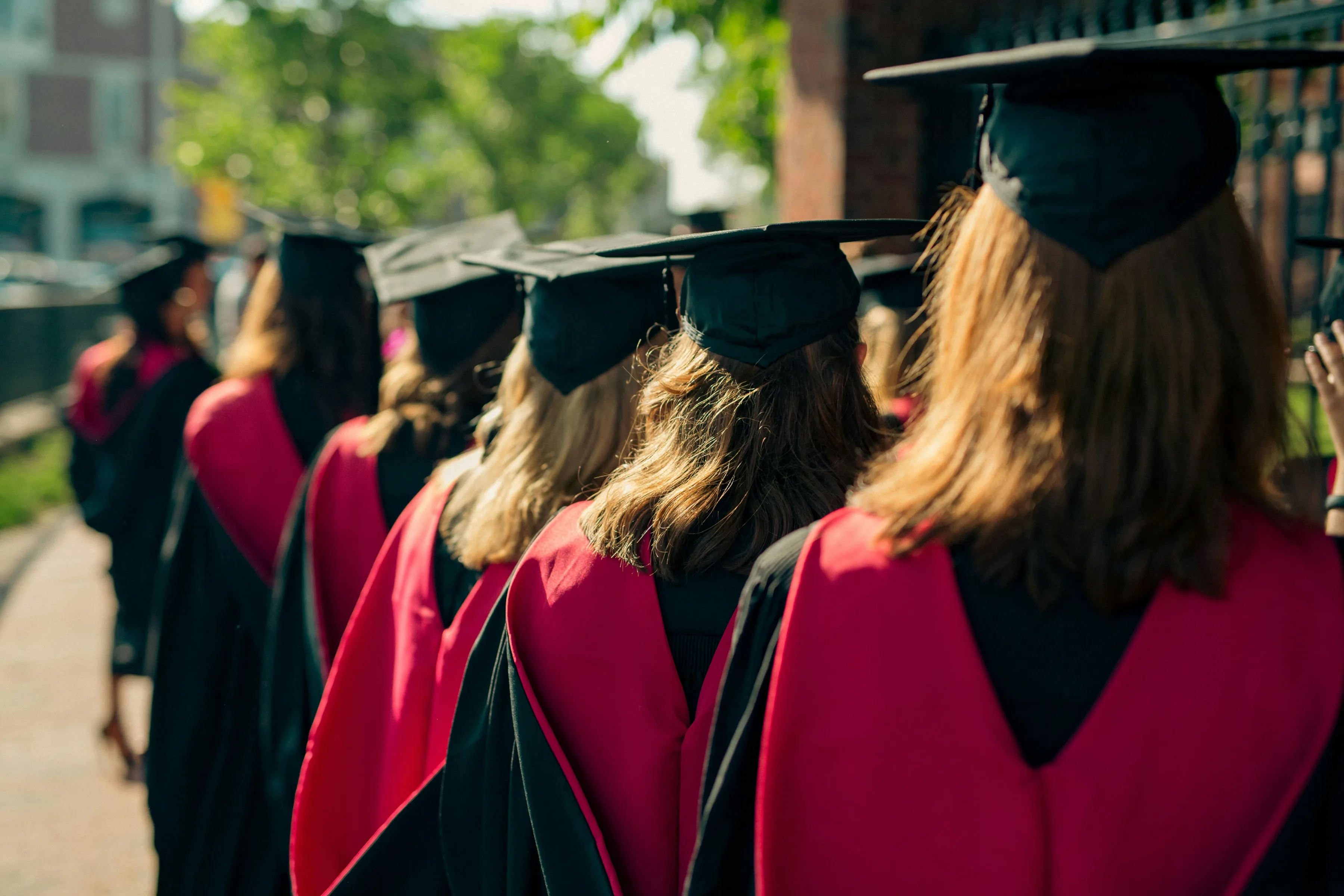 Graduating students in caps and gowns, seen from behind
